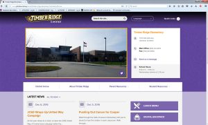 A screenshot of one of the new school websites.