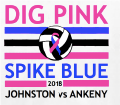 Graphic of the Dig Pink Spike Blue 2018 Volleyball game